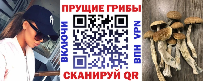 наркошоп  Чита  Галлюциногенные грибы мухоморы 